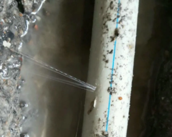 陵城卫生间测漏水多少钱