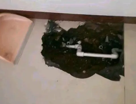 陵城卫生间测漏水多少钱