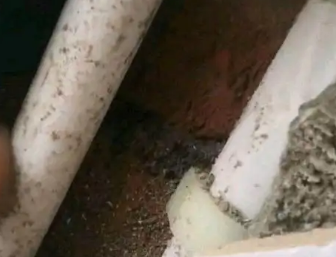 陵城卫生间测漏水哪家好